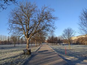 Allerta vento: parchi e aree verdi chiuse lunedì 21 febbraio 2022