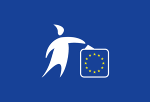 Elezioni europee 8 e il 9 giugno 2024